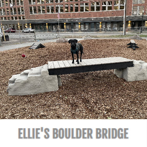 CAD Drawings Gyms For Dogs® Ellie's Boulder Bridge™